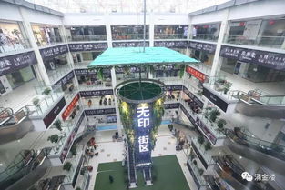 林志玲的小背心来自桐乡夫妻店 这是浙江制造的新风景